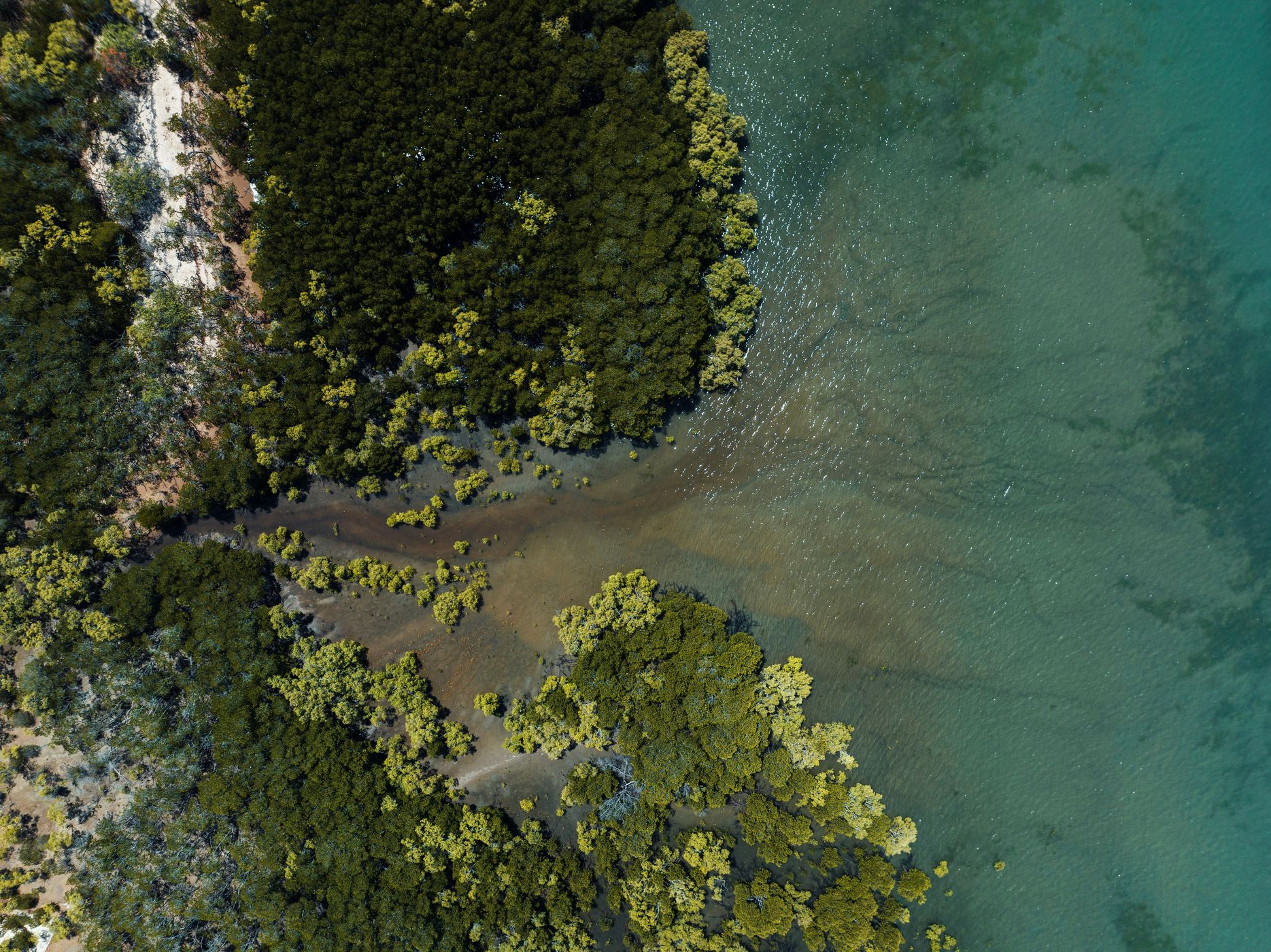 Coastline Magnetic Island, Australia