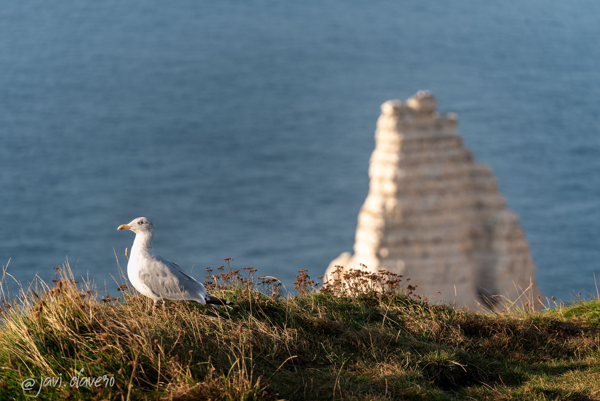 Côte d'Albâtre, Manneporte, France