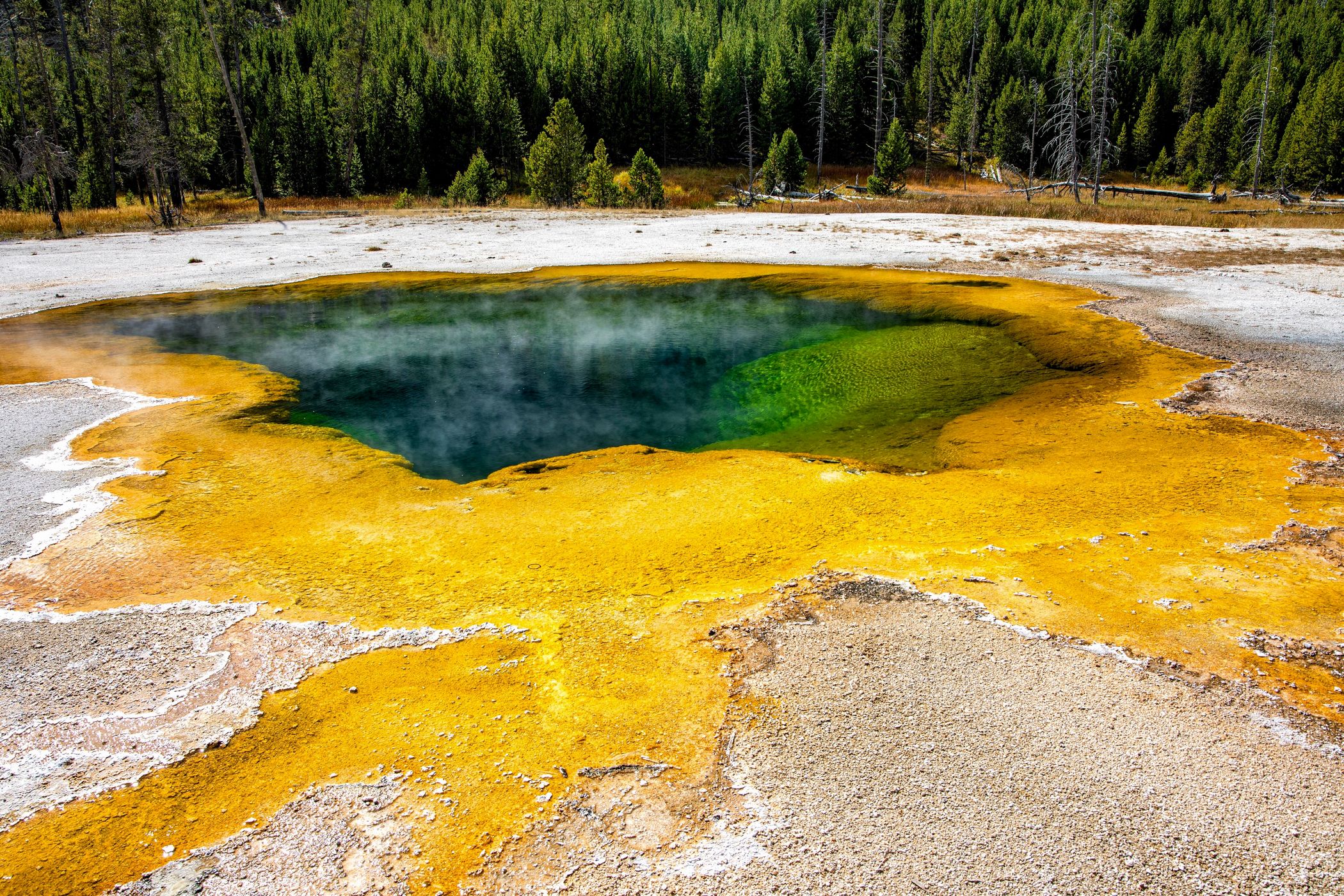 Emerald Pool, Yellowstone, USA