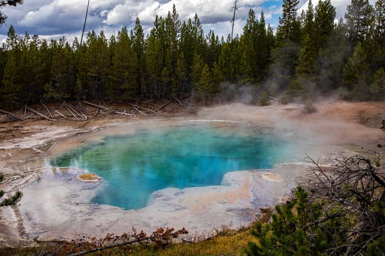 Emerald Spring