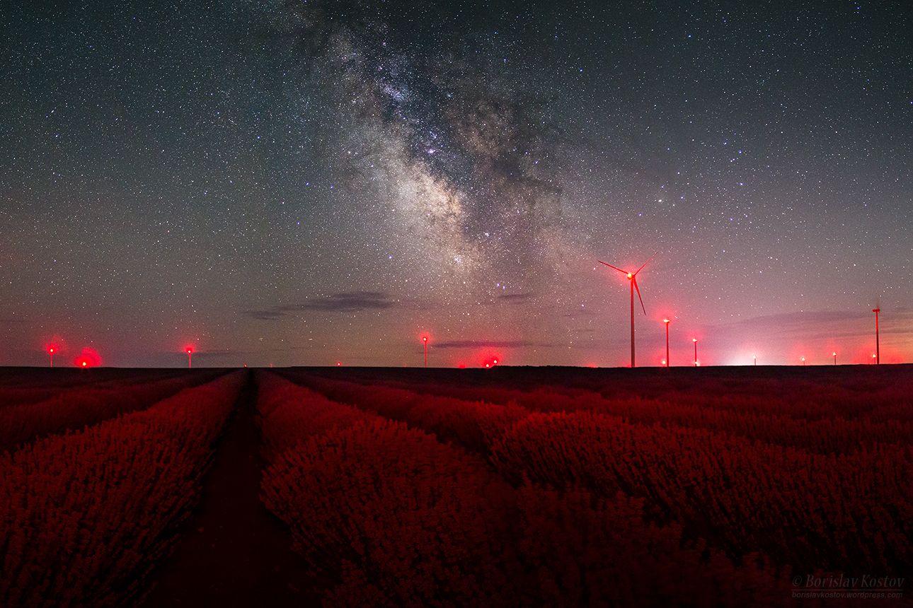 Gorun - Lavender Fields forever, Bulgaria