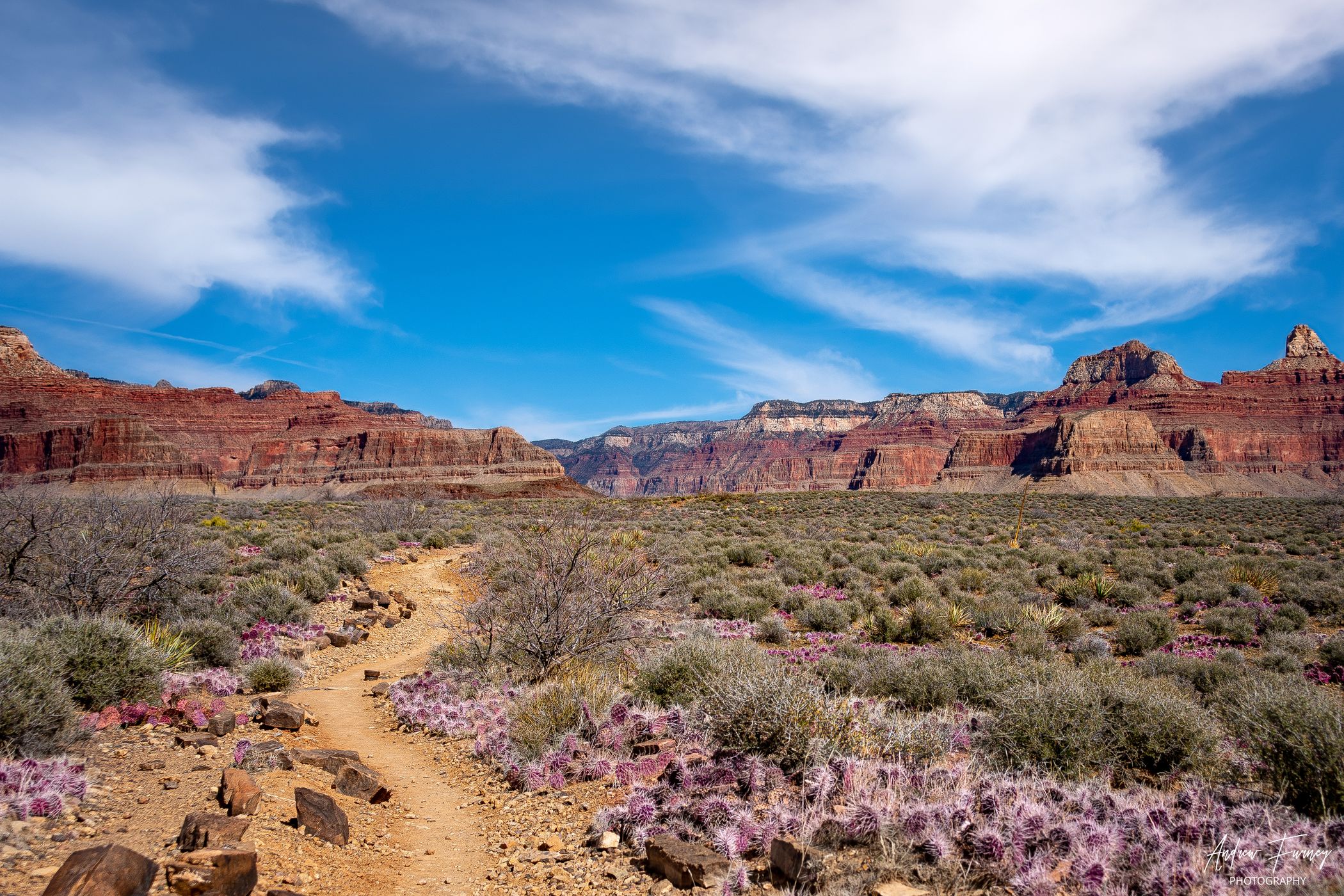 Grand Canyon Hike to Plateau Point, USA