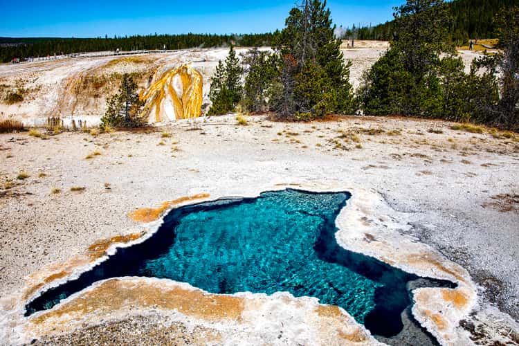 Blue Star Spring