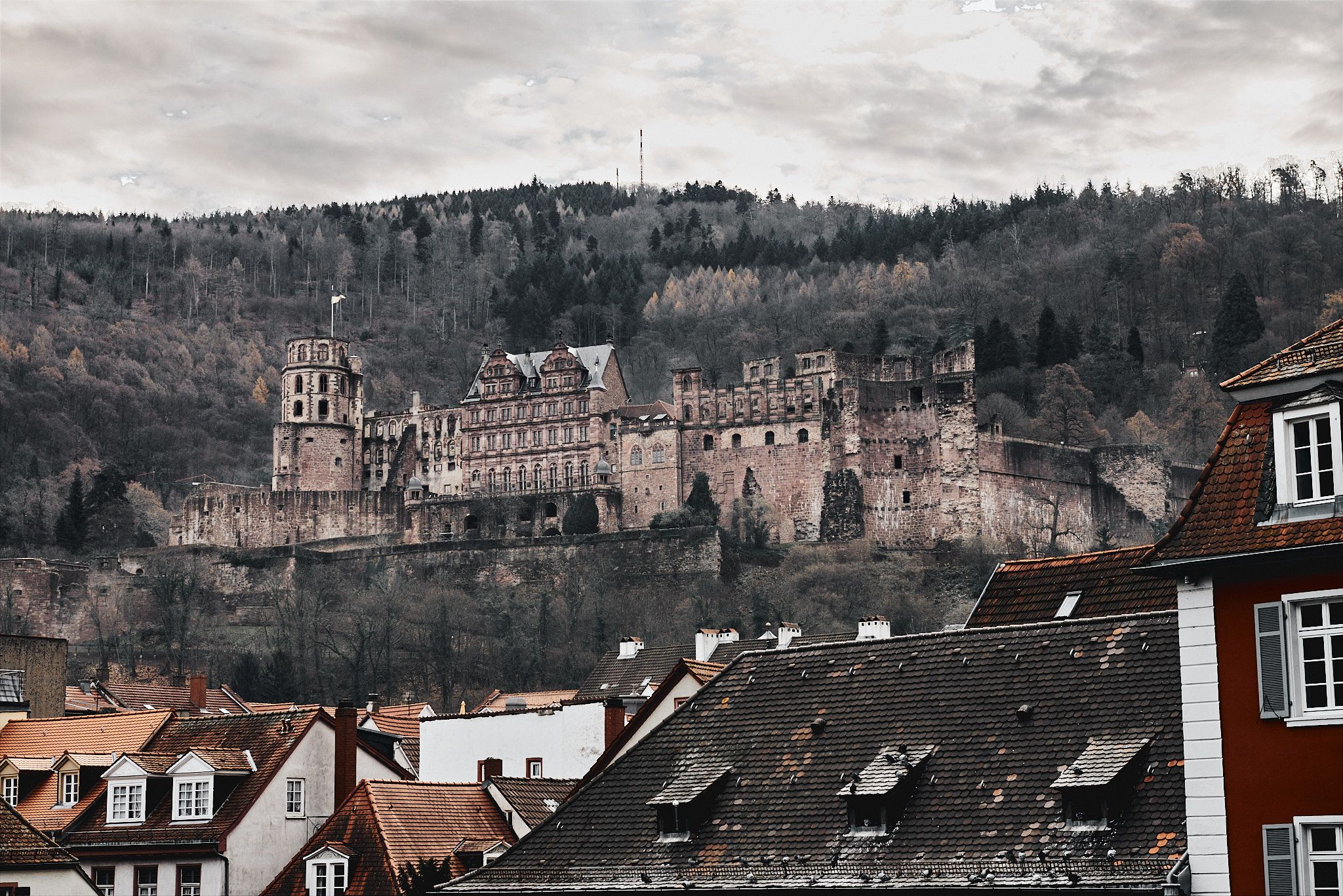Heidelberg Cityview, Germany