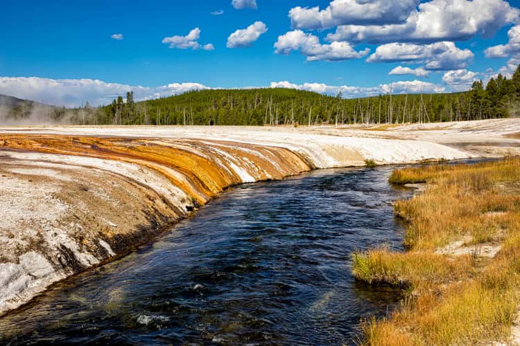 Iron Spring Creek