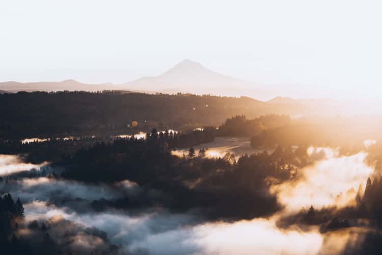 Jonsrud Viewpoint