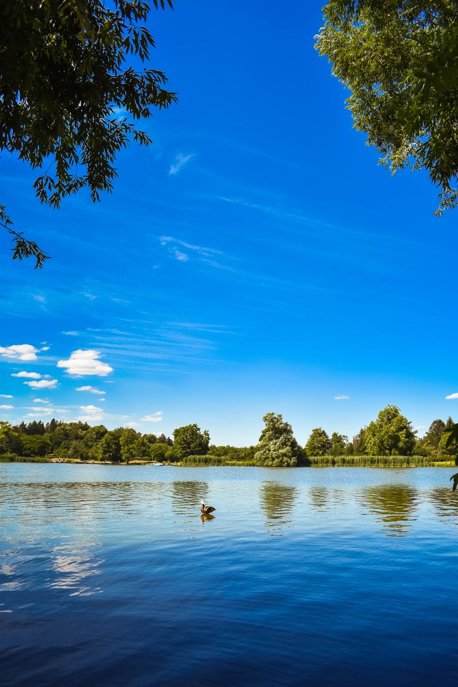 Kiessee - Göttingen, Germany