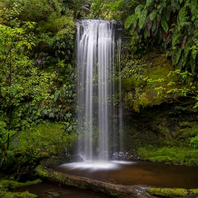 Koropuku Falls, the Catlins, New Zealand