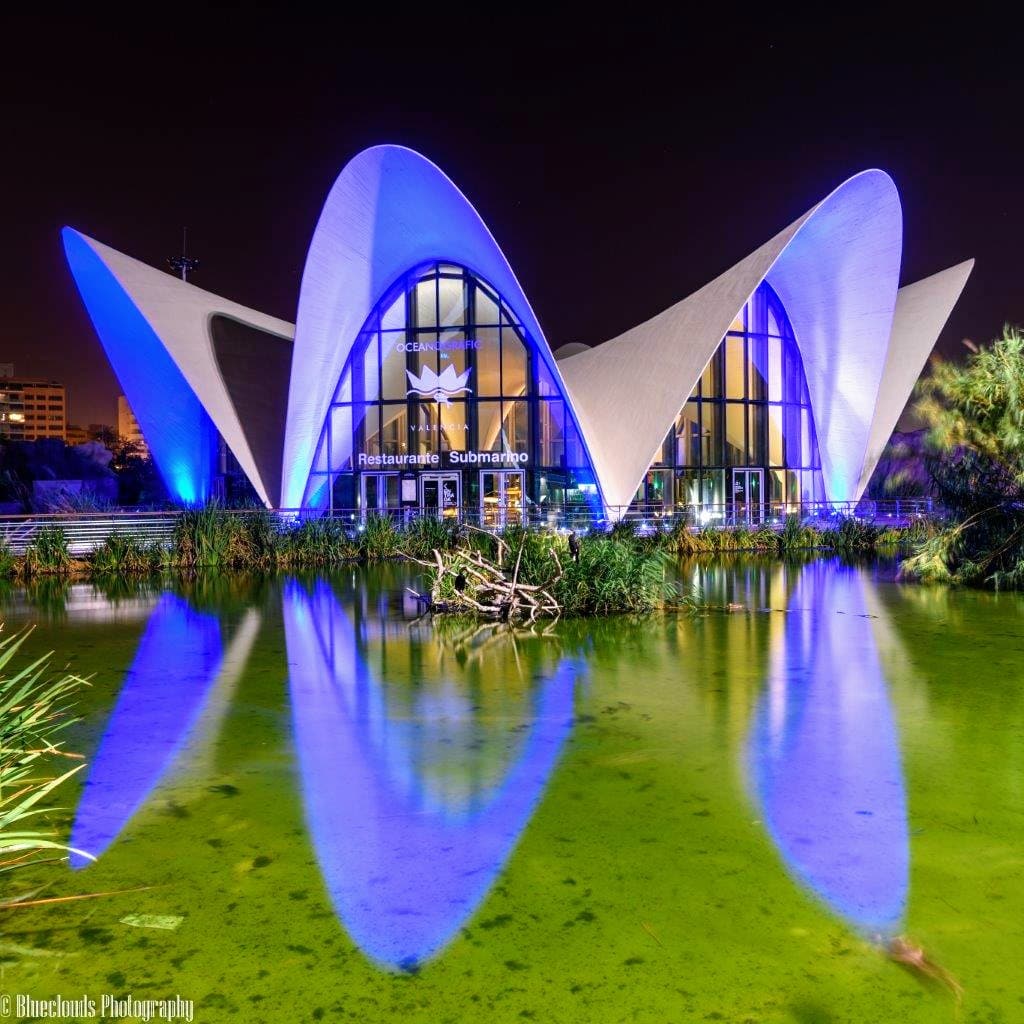 L'Oceanogràfic, Spain
