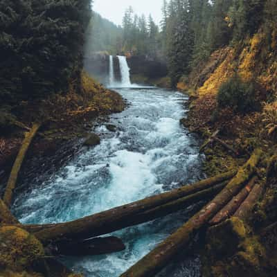 Logs at Koosah Falls, USA