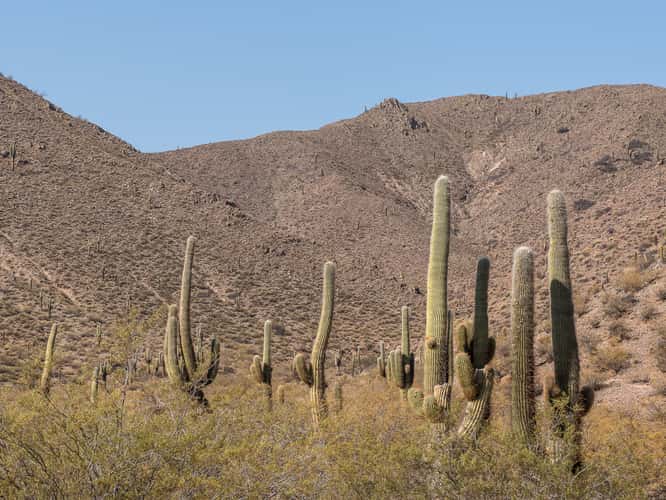 Los Cardones National Park Northwest