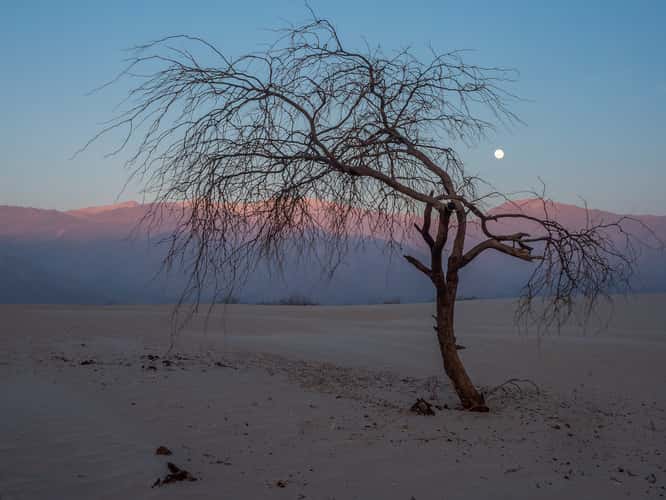Los Medanos Dunes