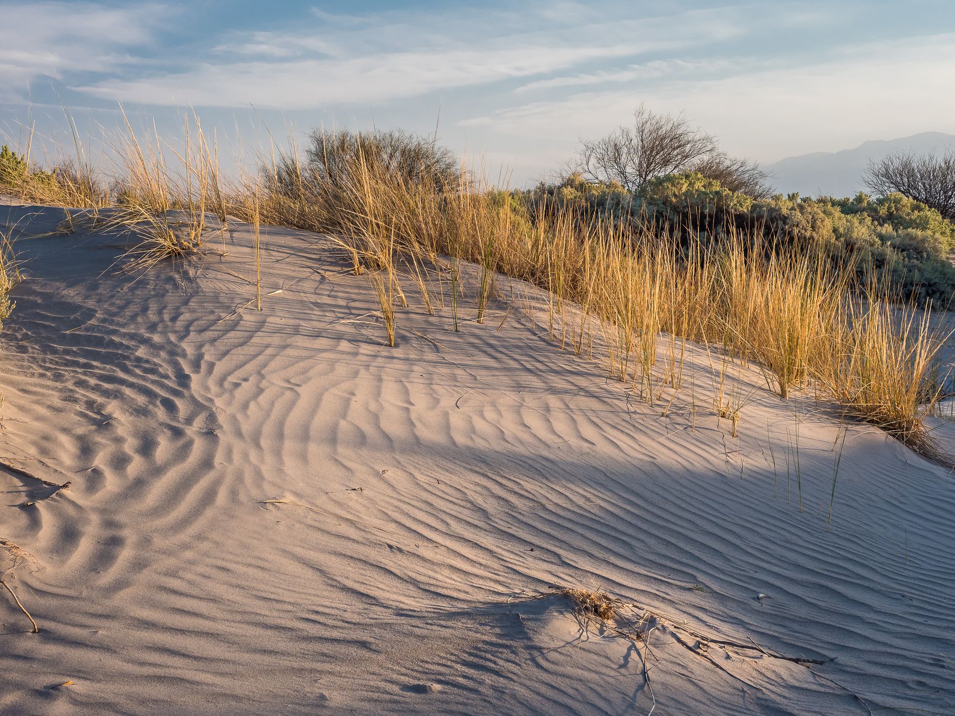 Los Medanos Dunes, Argentina