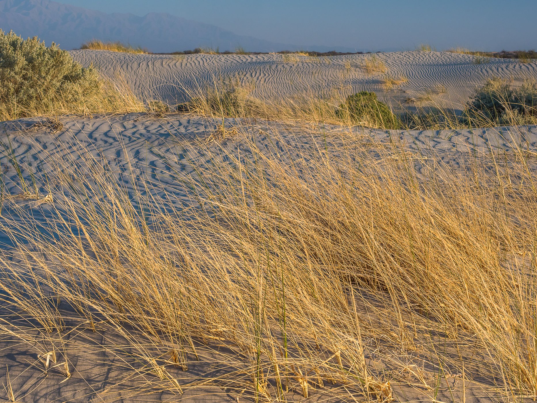 Los Medanos Dunes, Argentina