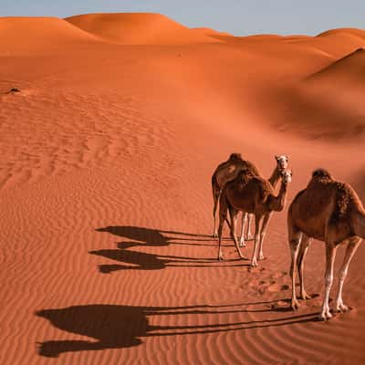 Mighty Wahiba Sands, Oman, Oman