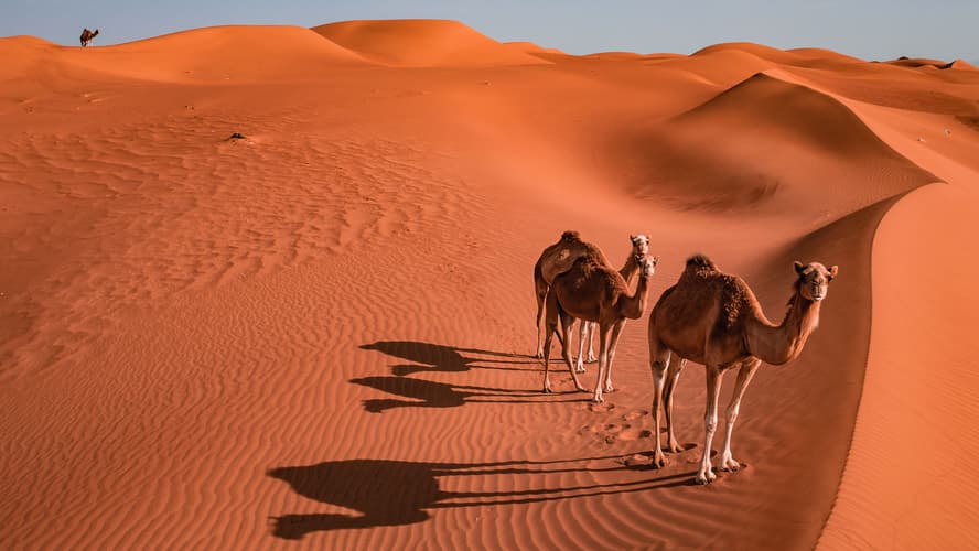 Mighty Wahiba Sands, Oman
