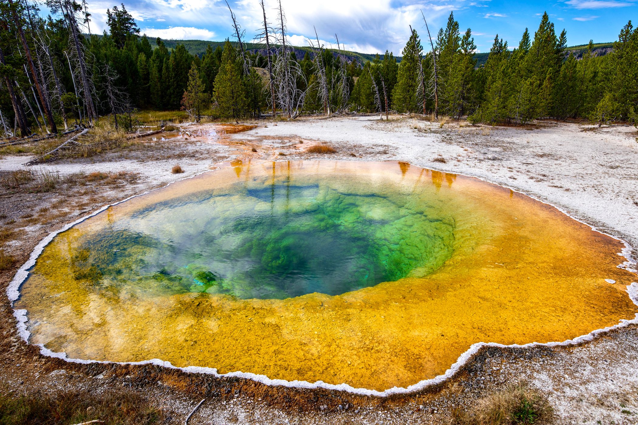 Morning Glory Pool, Yellowstone National Park, USA