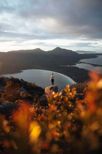 Mt. Amos
