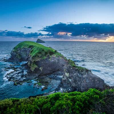 Mutton Bird Point, Lord Howe Island, New South Wales, Australia