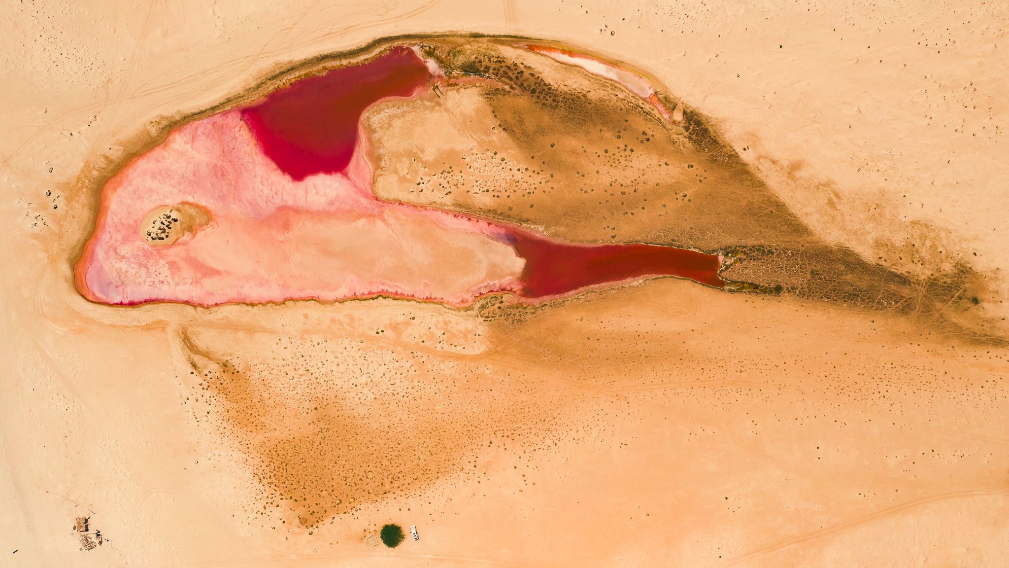 Pink Lagoon, Oman, Oman