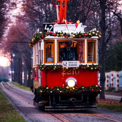 Prague Christmas trams, Czech Republic