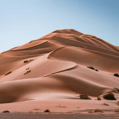 Rub Al Khali In Oman, Oman