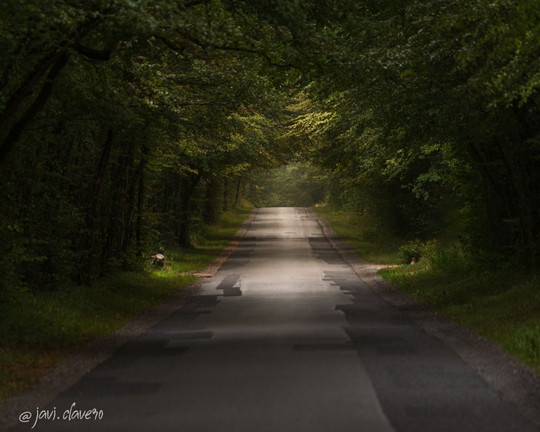 Saint-Lactencin Forest, France