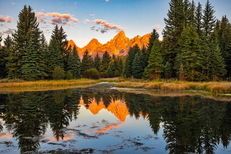 Schwabacher Landing