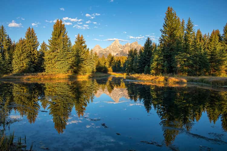 Schwabacher Landing