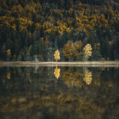 Schwansee, Füssen, Germany