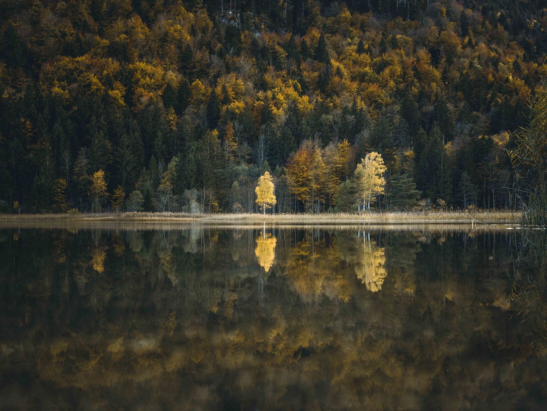 Schwansee, Füssen, Germany