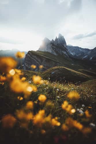 Seceda classic view point, South Tyrol