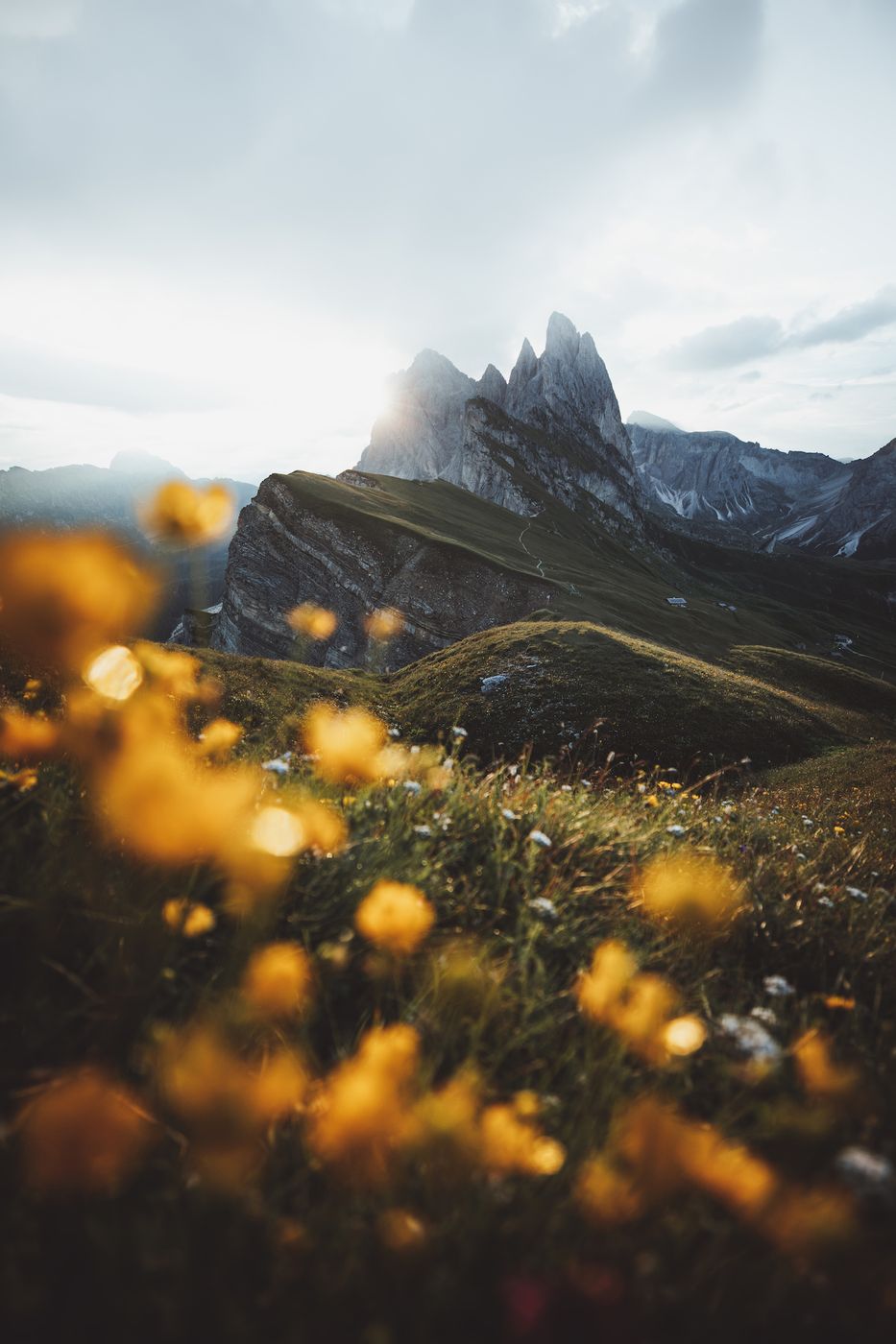 Seceda classic view point, South Tyrol, Italy