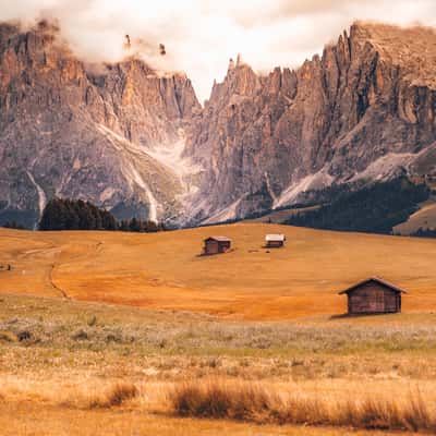 Seiser Alm/Alpe di Siusi, Italy
