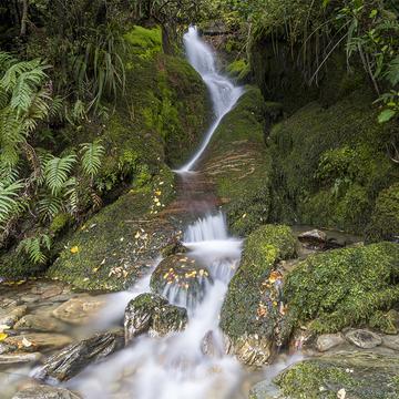 Shirt Tail Track Waterfall, New Zealand