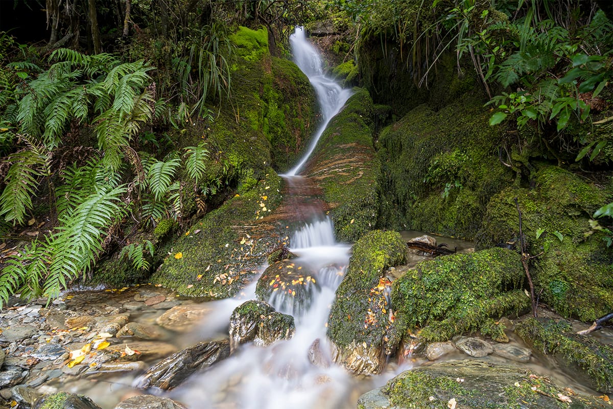Shirt Tail Track Waterfall, New Zealand