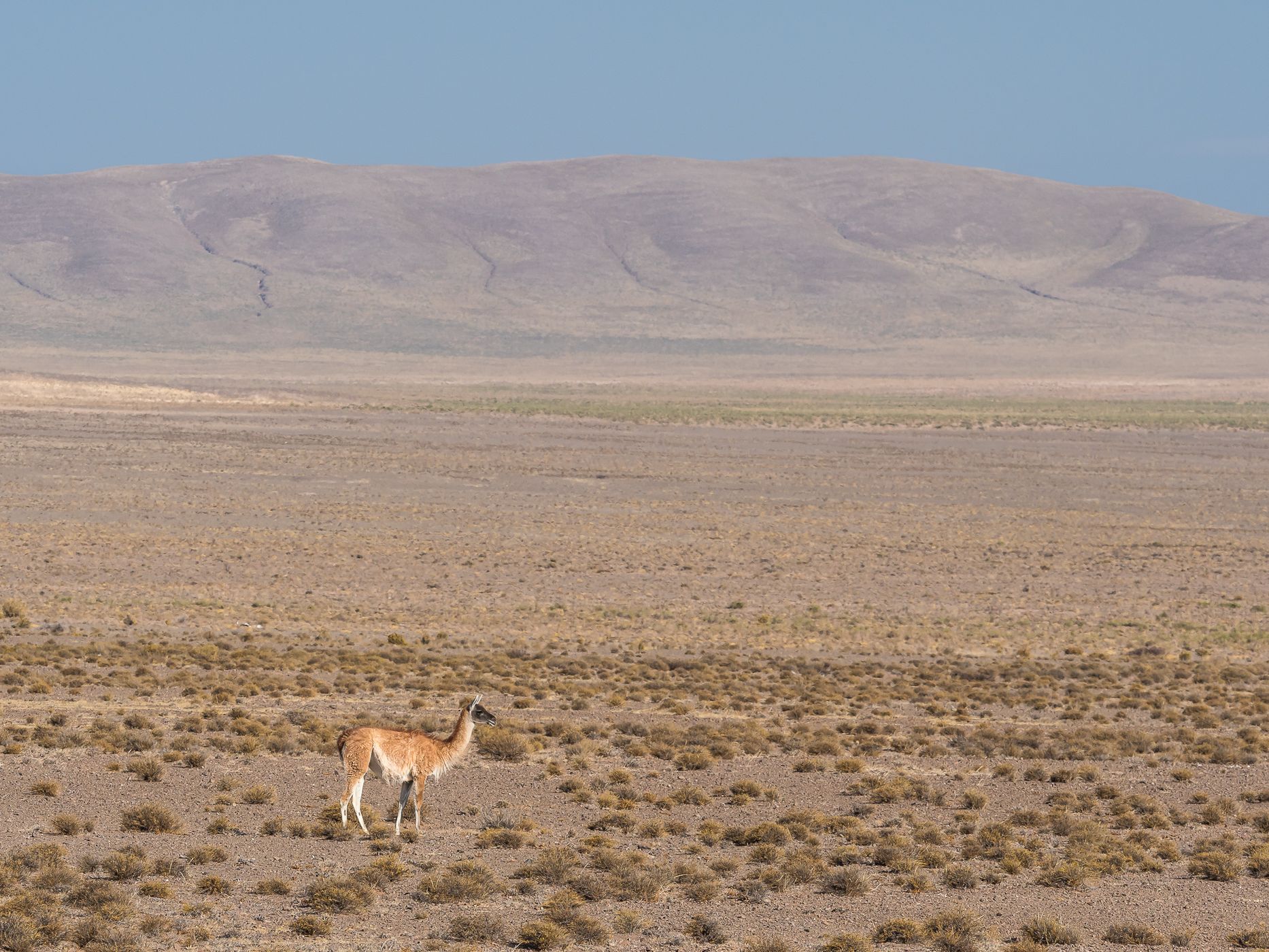 Southern Part of Los Cardones National Park, Argentina
