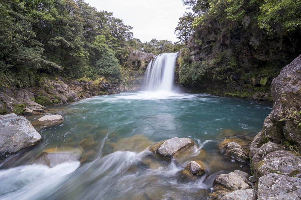 Tawhia Falls, New Zealand