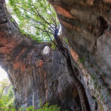 The Tree Cave, Bulgaria