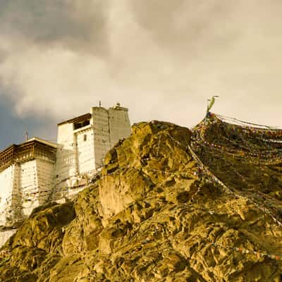 Tsemo Maitreya Temple, India