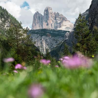 Vista Panoramica Tre Cime Lavaredo, Italy