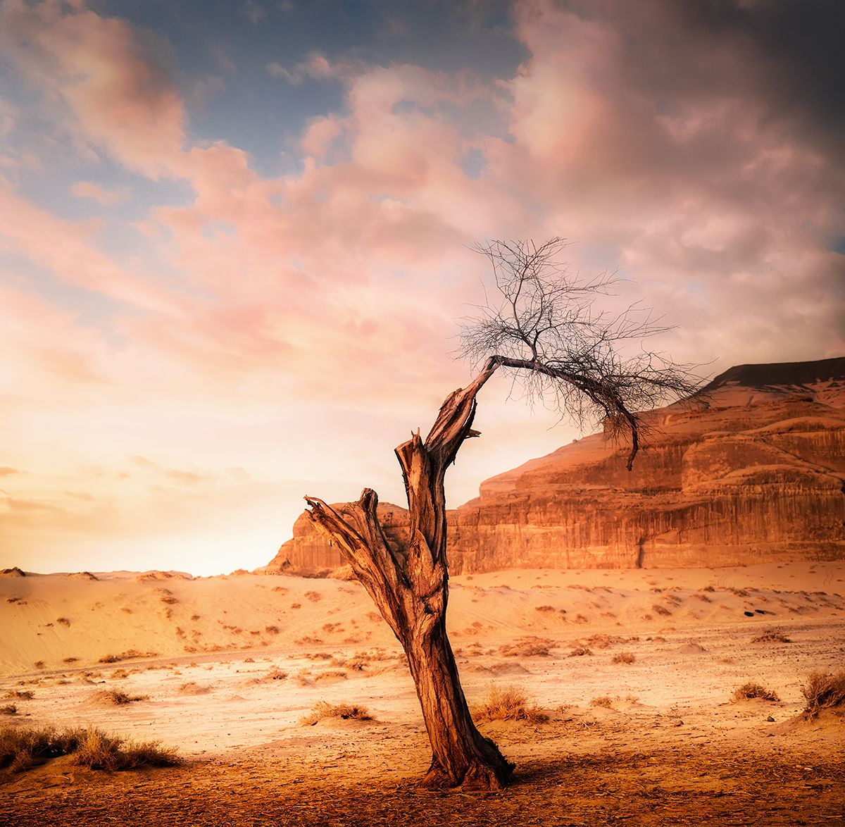 Alula, Saudi Arabia