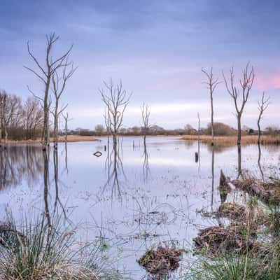 Arcot Lake, United Kingdom