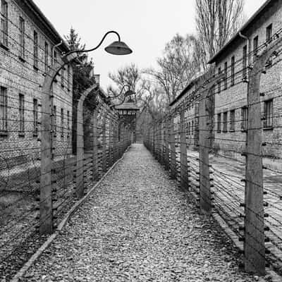 Auschwitz Museum, Poland