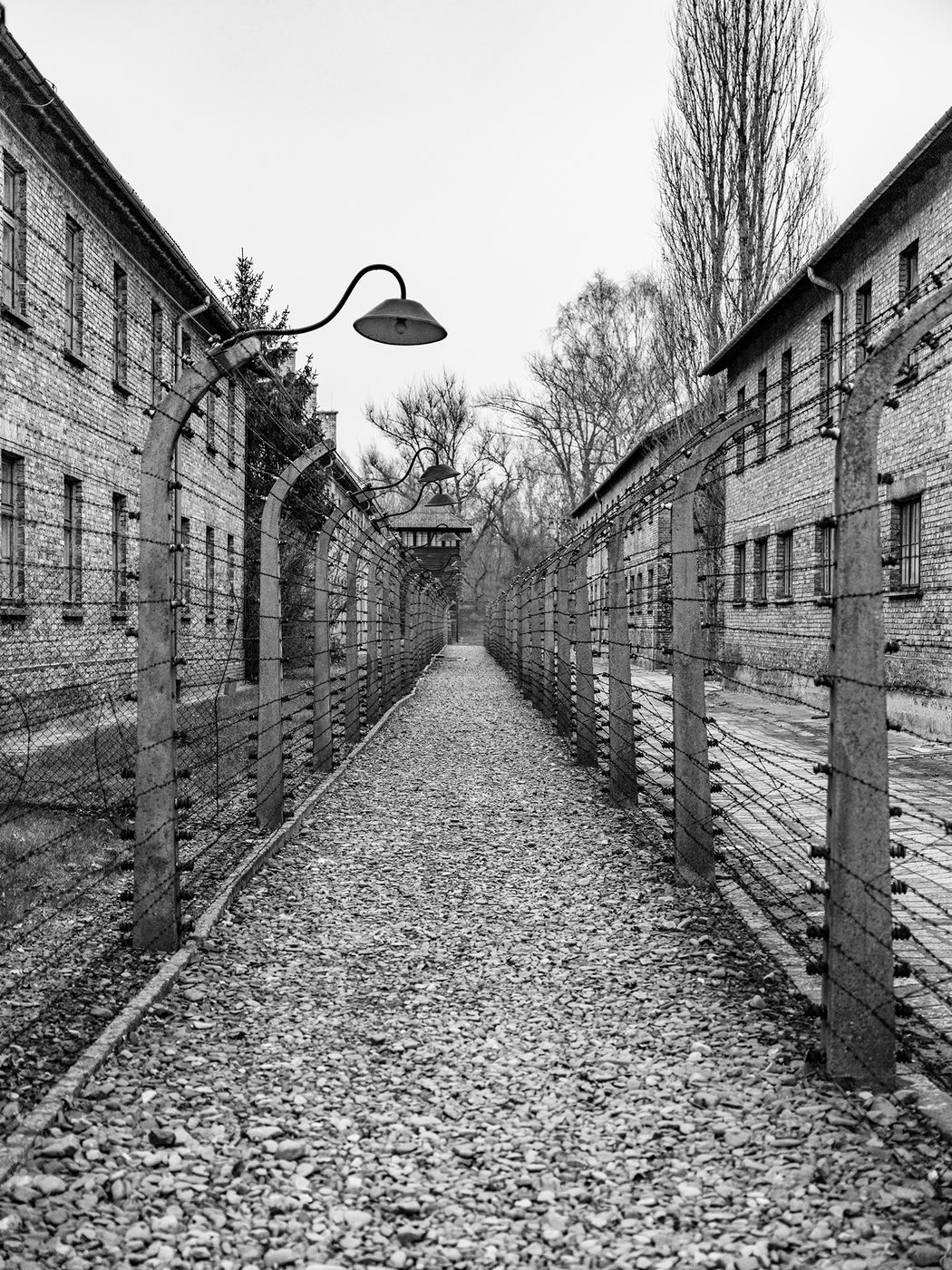 Auschwitz Museum, Poland