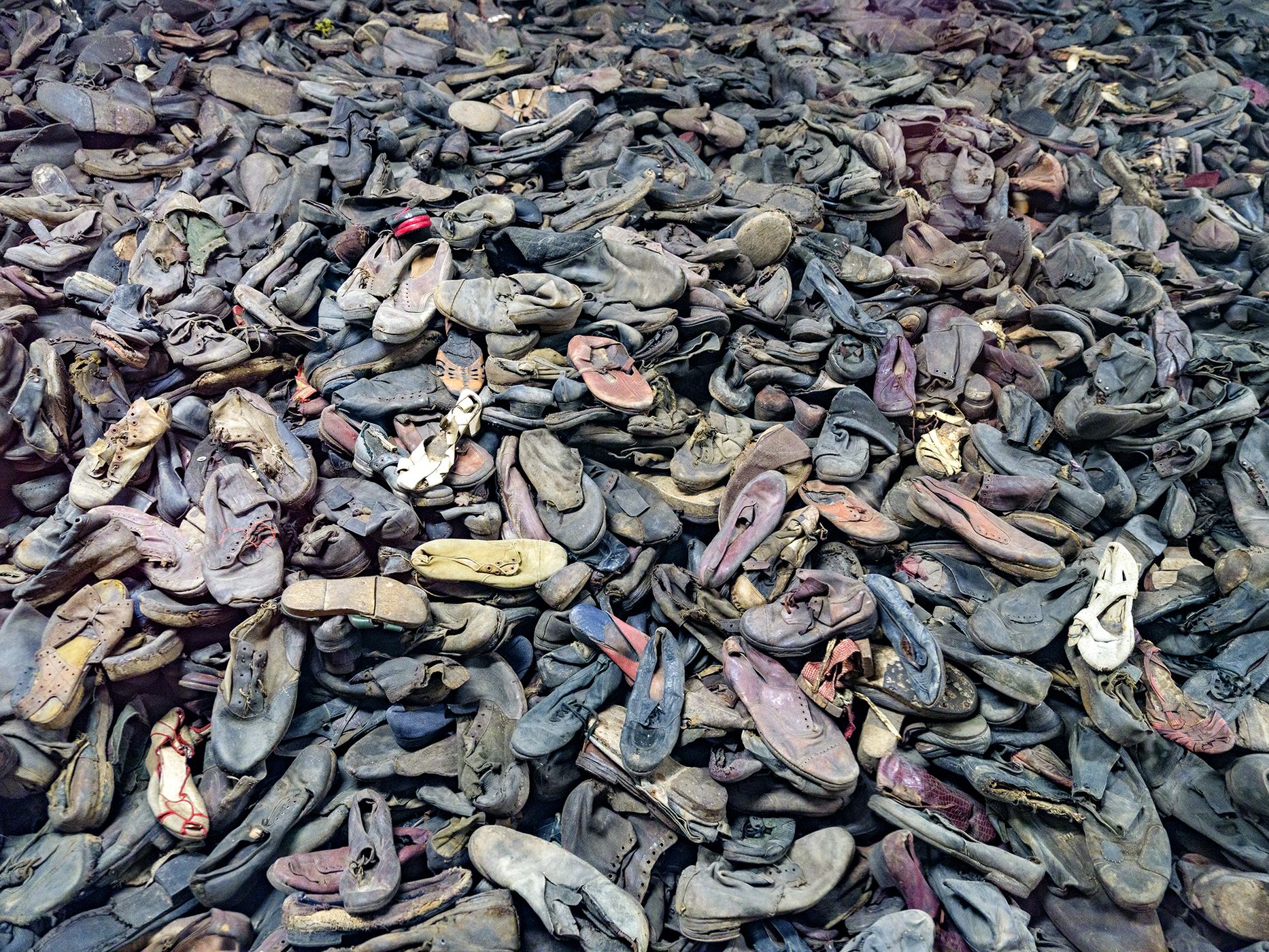 Auschwitz Museum, Poland