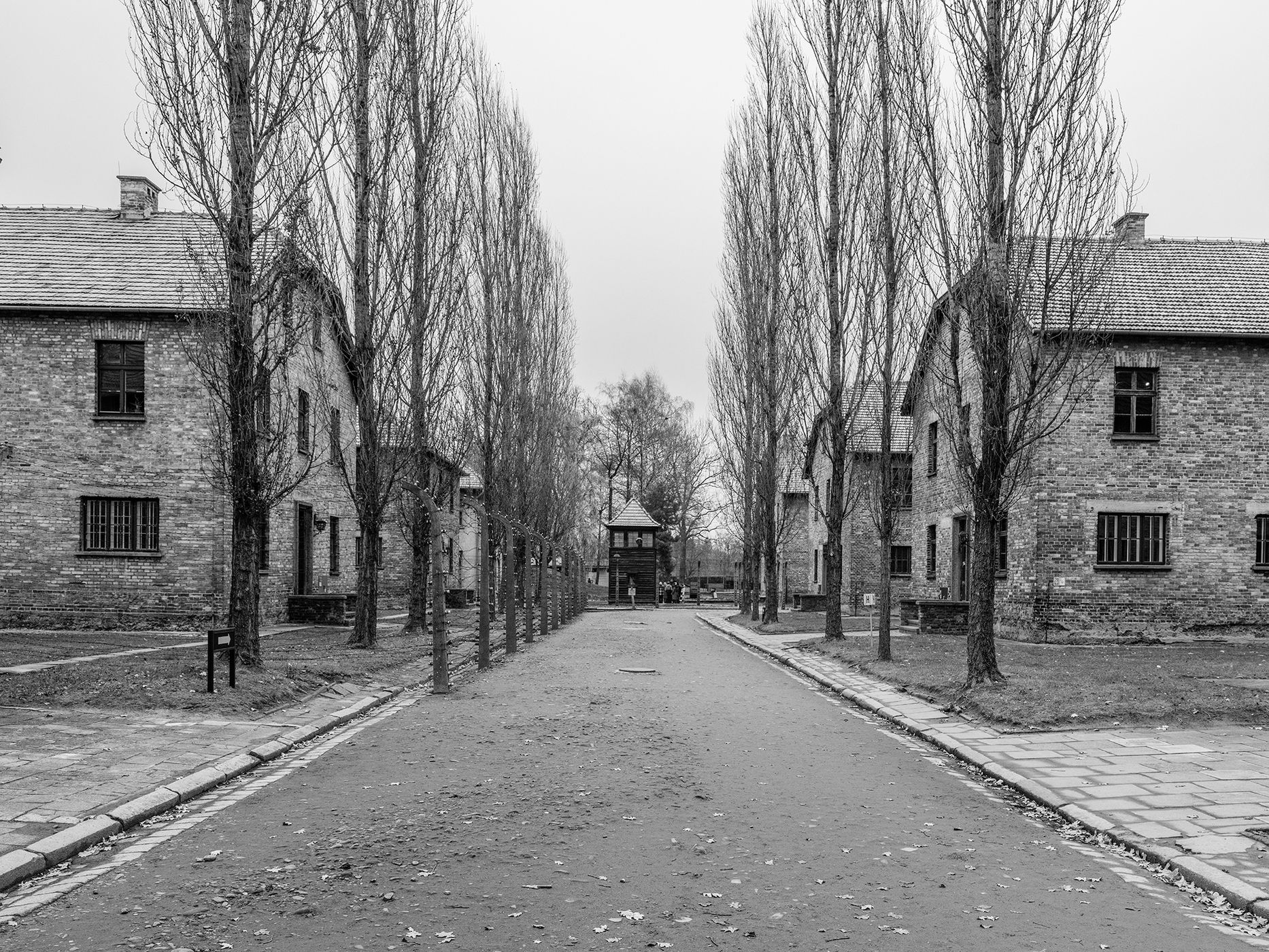 Auschwitz Museum, Poland