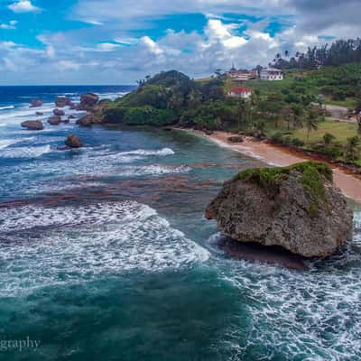Bathsheba, Barbados