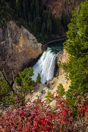 Brink of Yellowstone Falls