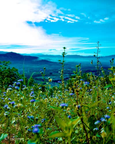 Broga Hill 2nd Hilltop